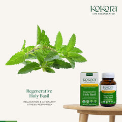Kokora Holy Basil powder container oriented for wellness blend