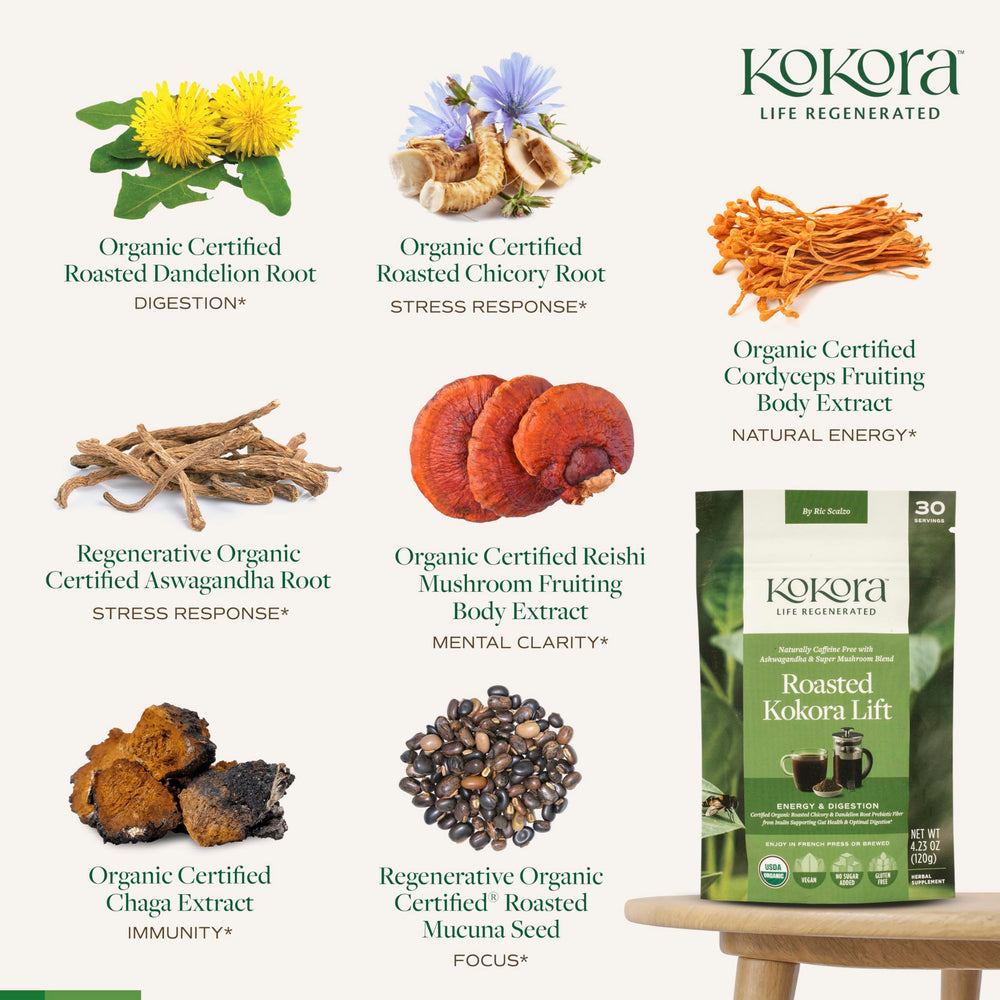 Kokora Lift latte moment features creamy, coffee-like richness.