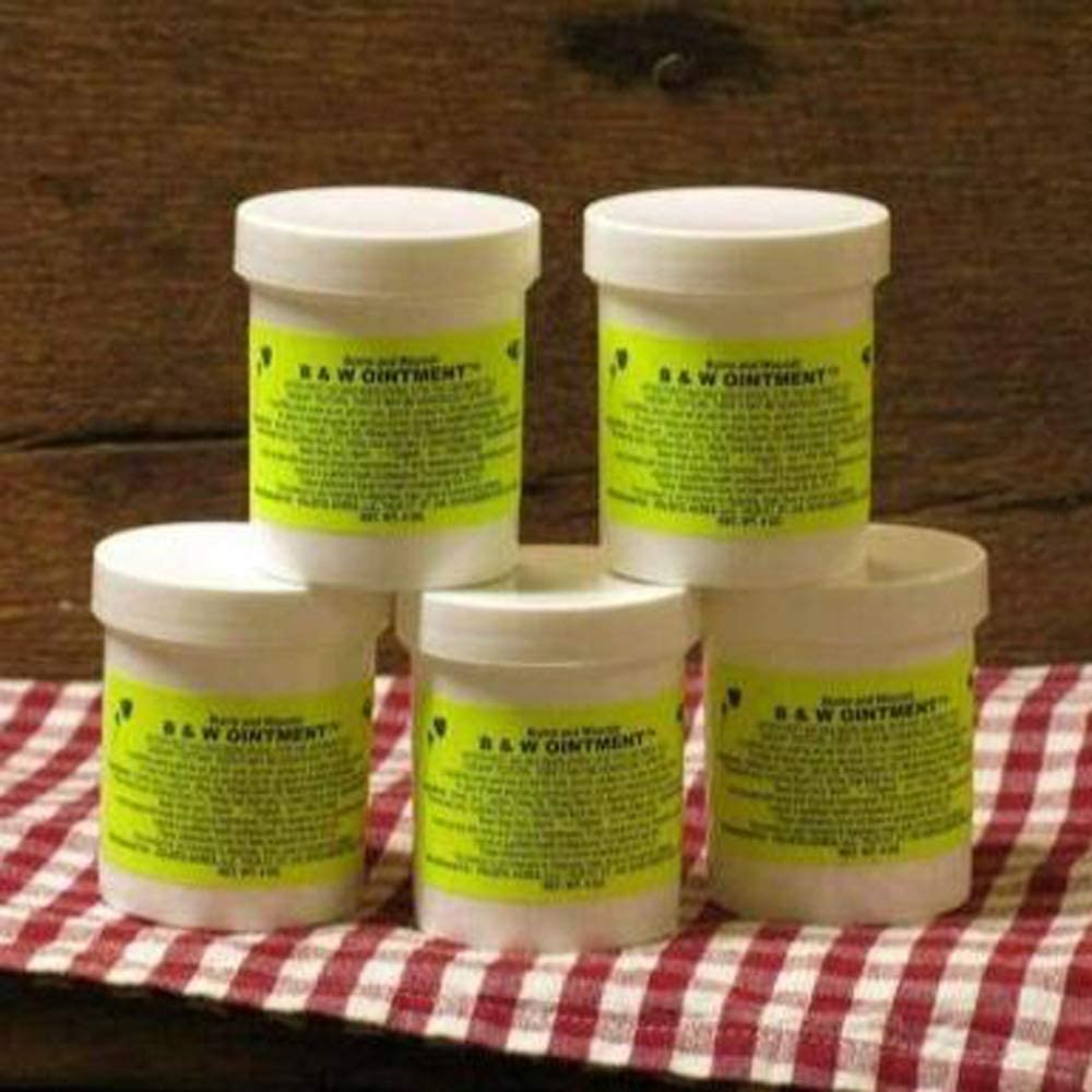 Konvalia Naturals Amish Burn Salve packaging close-up for healing support potential