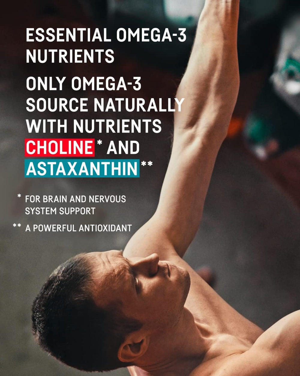 Kori Krill choline source visual emphasizes potential brain and liver support
