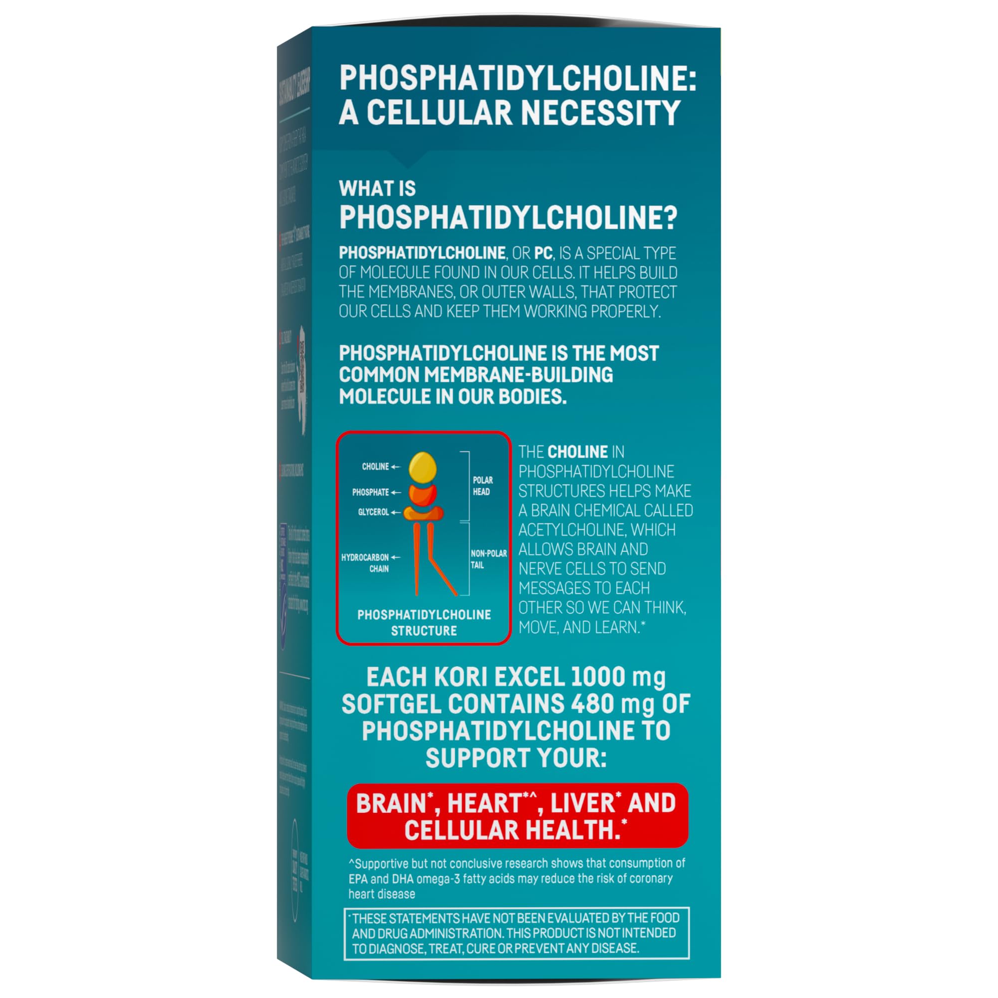 Kori Krill Excel phospholipid form highlights high absorption.