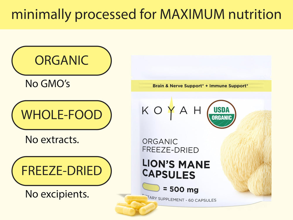 KOYAH freeze-dried Lions Mane powder retaining nutrients