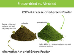 KOYAH Greens Blend powder shows bright green color in shakes
