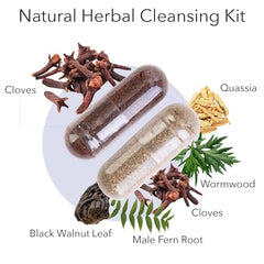 Kroeger Black Walnut capsules closeup highlighting gentle intestinal support.