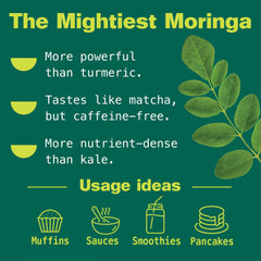 Kuli Kuli Moringa powder in smoothie for a nutrition boost