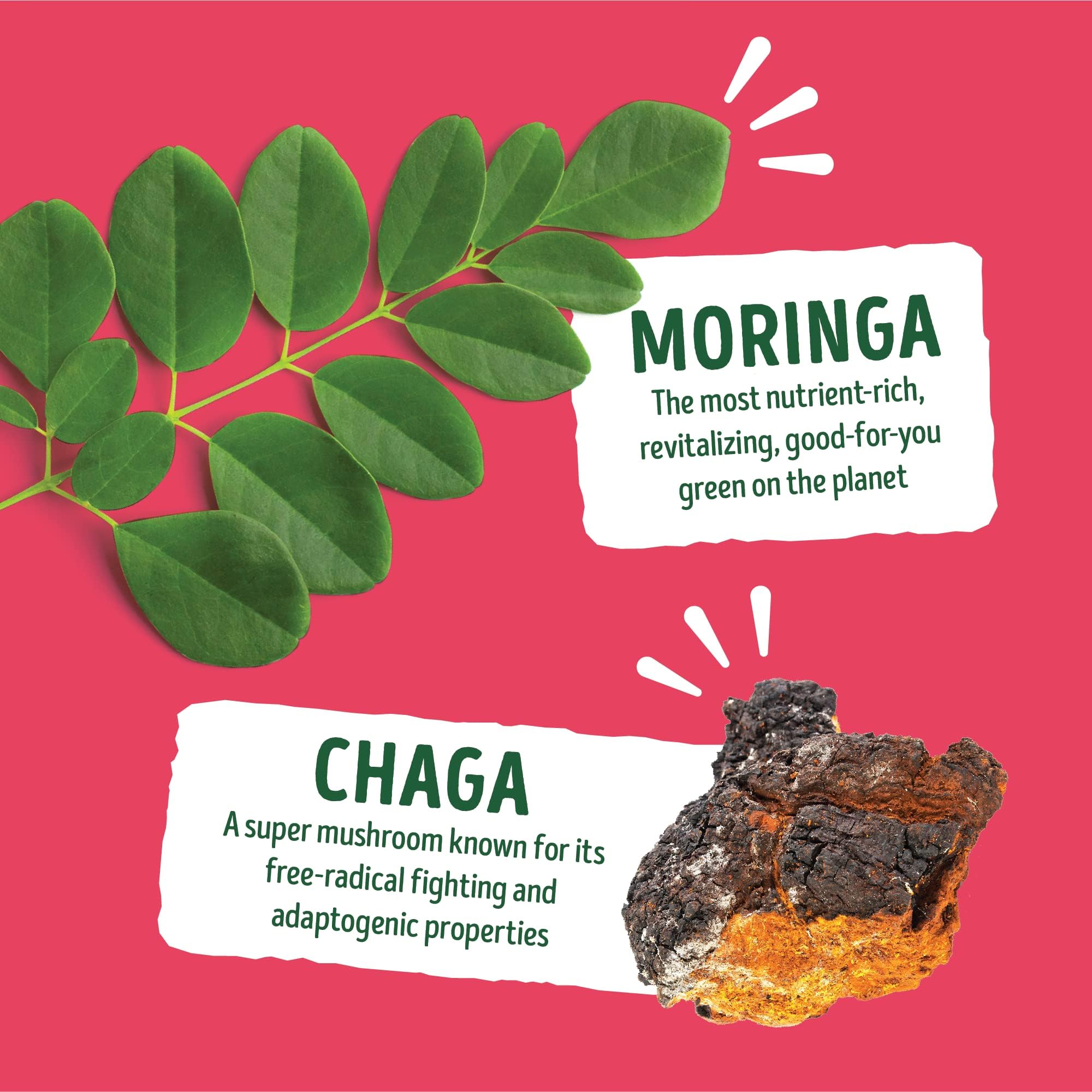 Kuli Kuli moringa leaf powder highlights plant-based energy ingredients