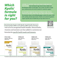 Kyolic Aged Garlic Extract 300 capsules in hand for easy daily use.