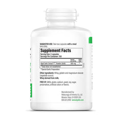 Kyolic Aged Garlic Extract Formula 100 capsules neatly arranged for daily use