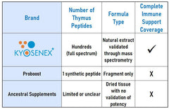 Kyosenex immune balance scene with energized individuals.
