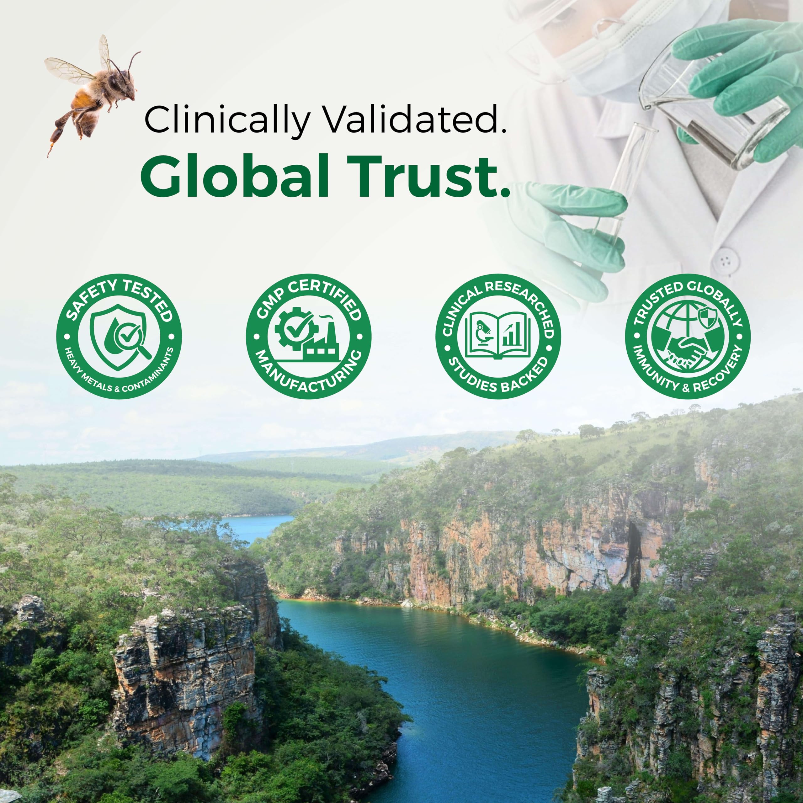 LABO Nutrition Brazilian Green Propolis packaging conveys quality and potency.