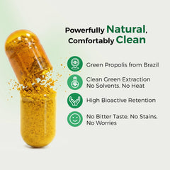 LABO Nutrition Brazilian Green Propolis triple-pack bottle set for convenient use.