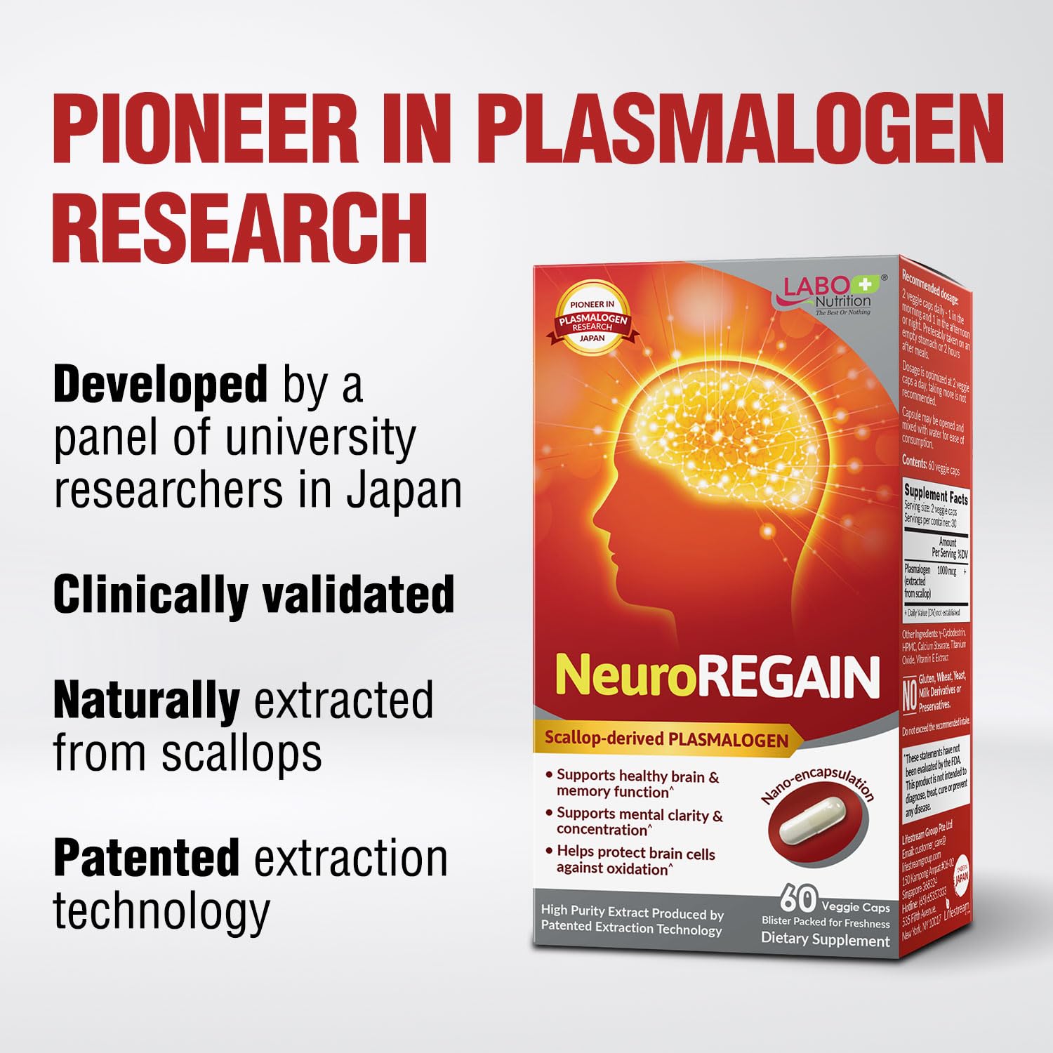 LABO NeuroREGAIN plasmalogen-scallop image - premium brain health potential