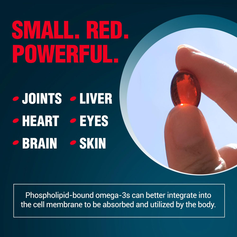LABO Nutrition Perfect Krill EX phospholipid graphic emphasizing enhanced absorption