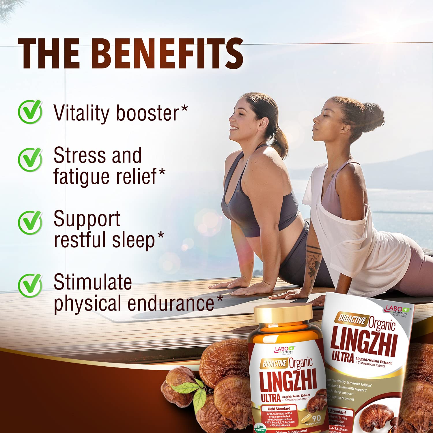 LABO Nutrition Lingzhi Reishi Ultra capsules for convenient daily wellness support.