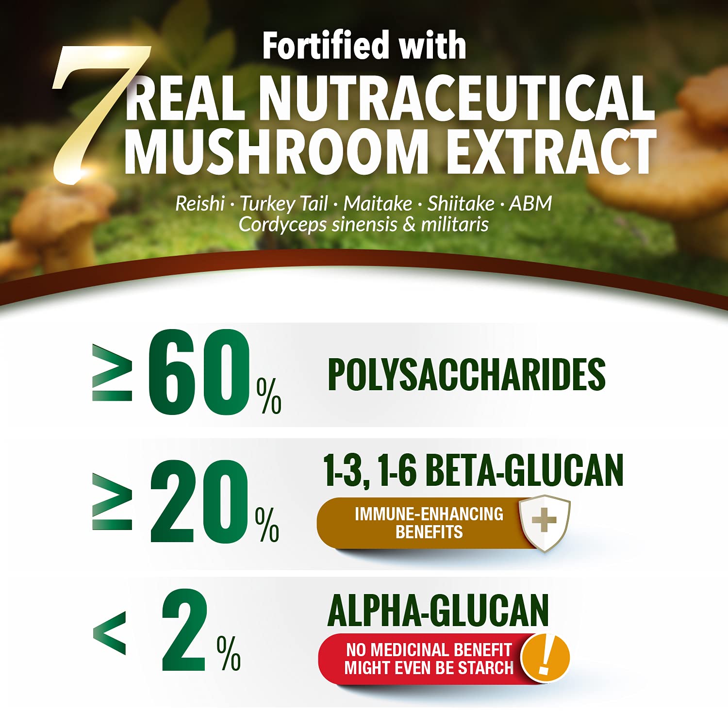 LABO Nutrition Lingzhi Reishi Ultra ingredient spectrum highlights full-spectrum extraction supporting diverse benefits.