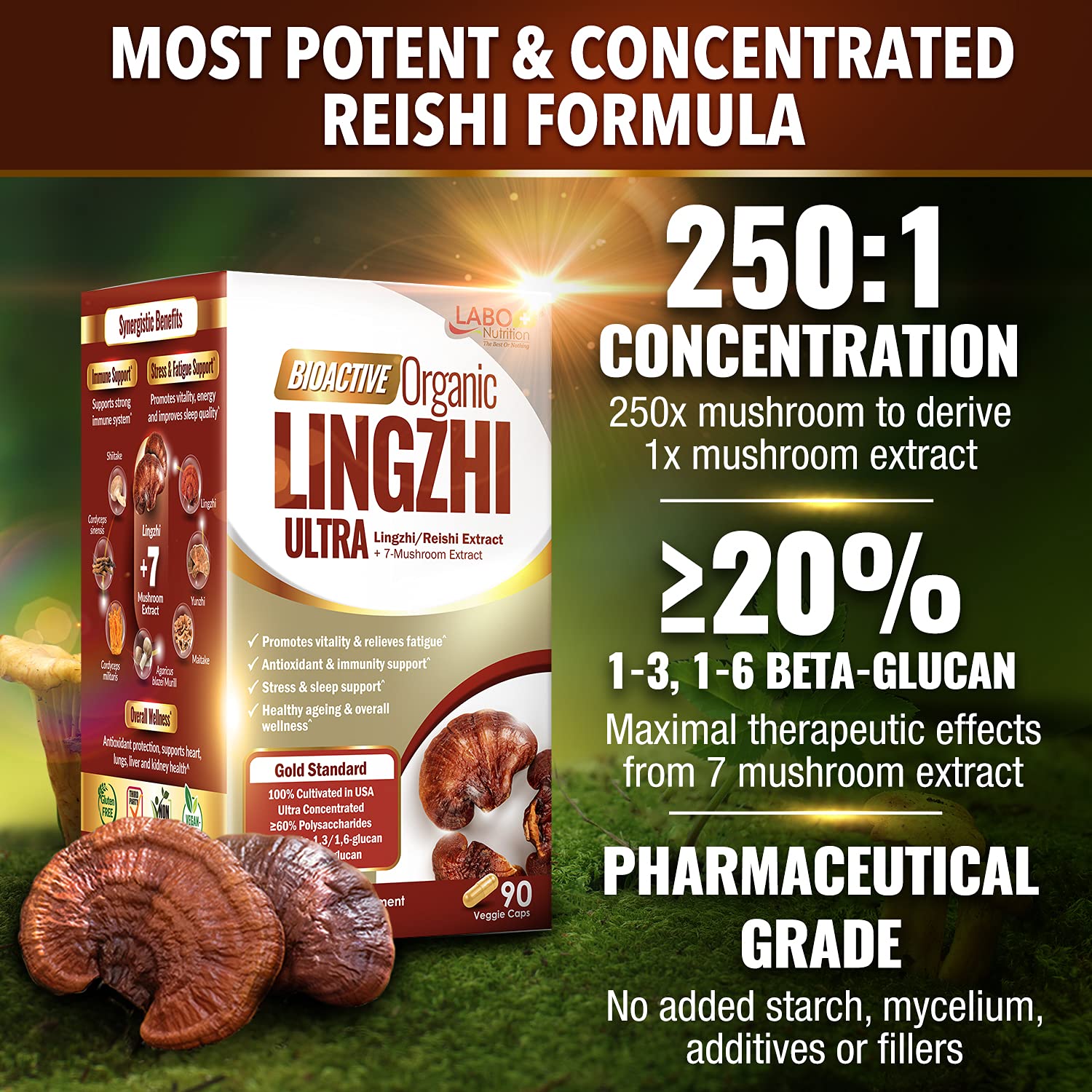 LABO Nutrition Lingzhi Reishi Ultra label closeup showing clean organic ingredients.