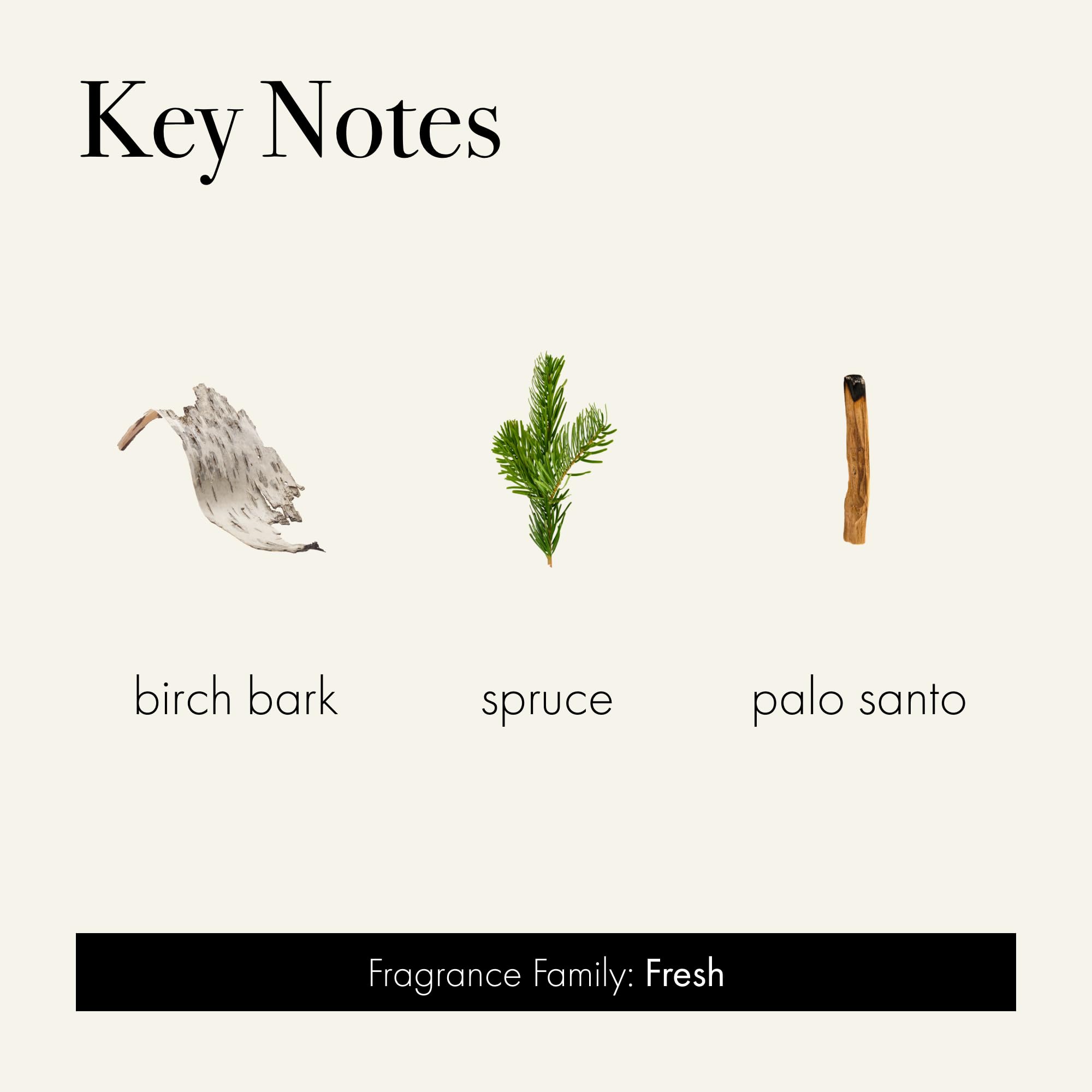 Reusable glass vessel from LAFCO New York invites stylish storage after burning.