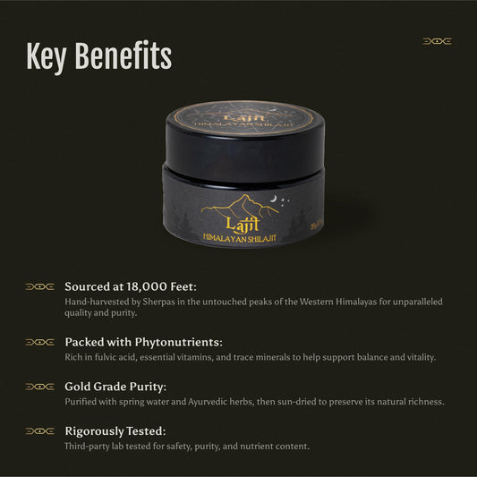 Lajit Shilajit resin amber close-up showing rich color and natural purity for daily use