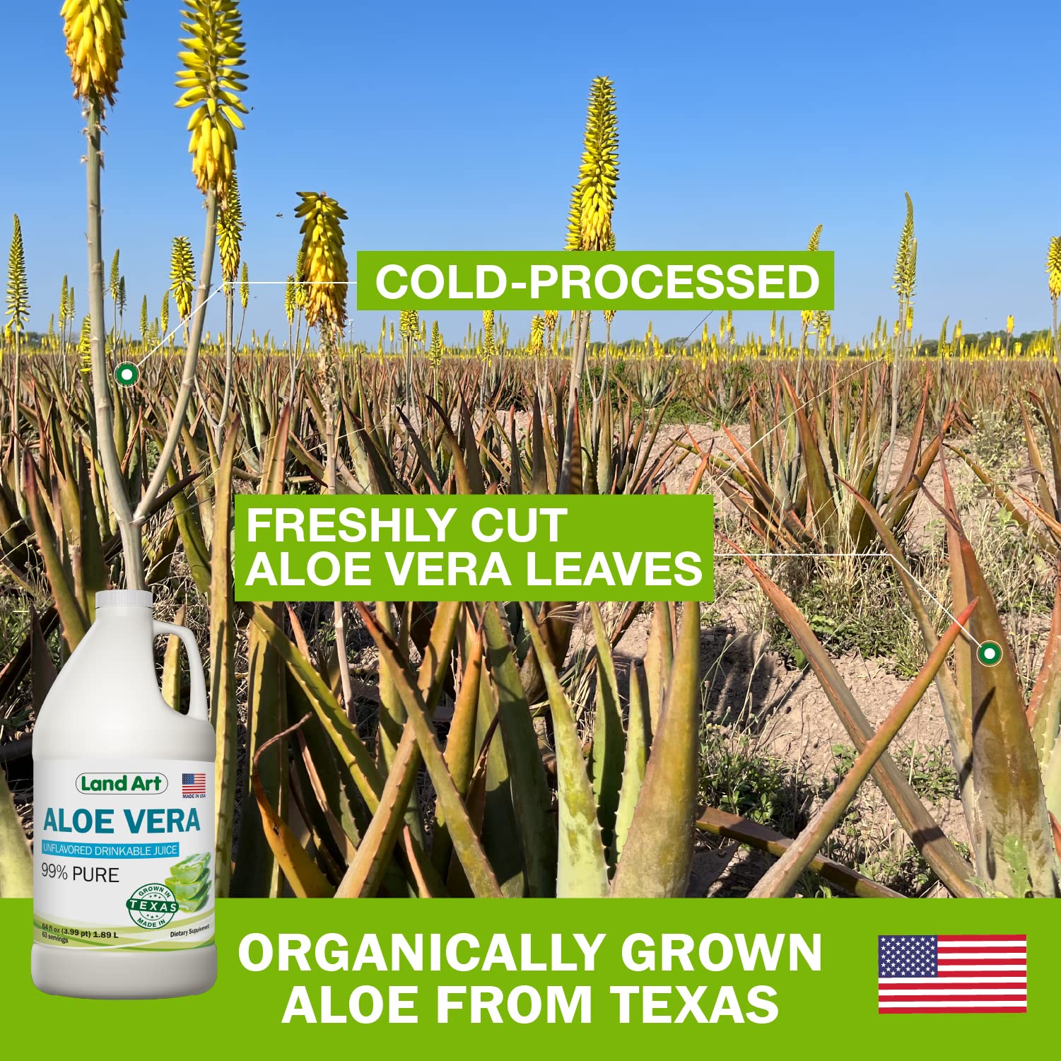 Land Art Aloe Vera Juice inner fillet close-up, showcasing natural enzymes.