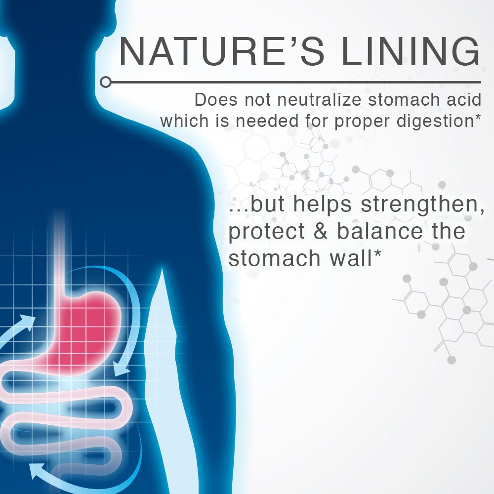 Lane Innovative Nature's Lining ingredients label notes potency and purity.