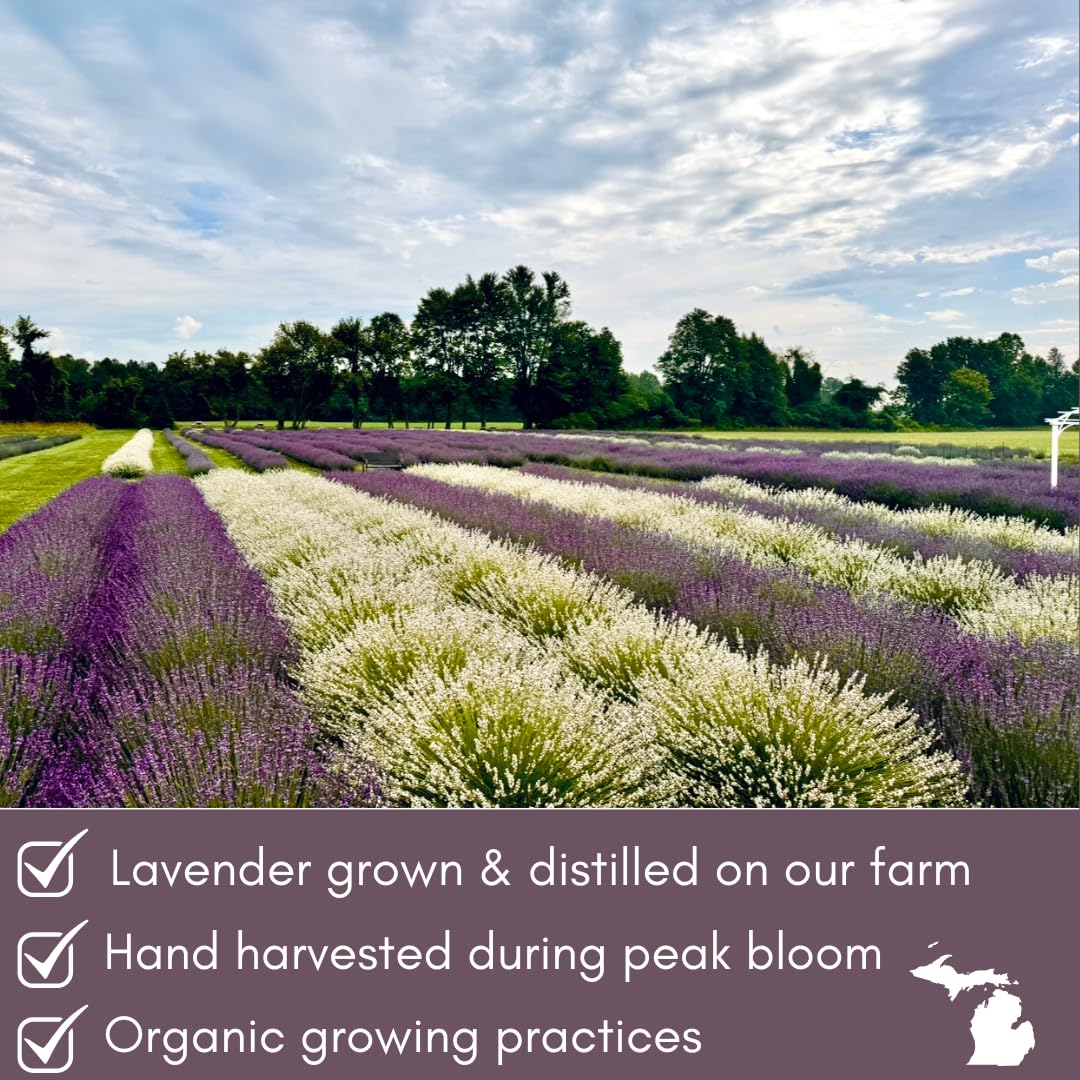 Lavender Lane hydrosol mist spray ready to refresh rooms or linens.