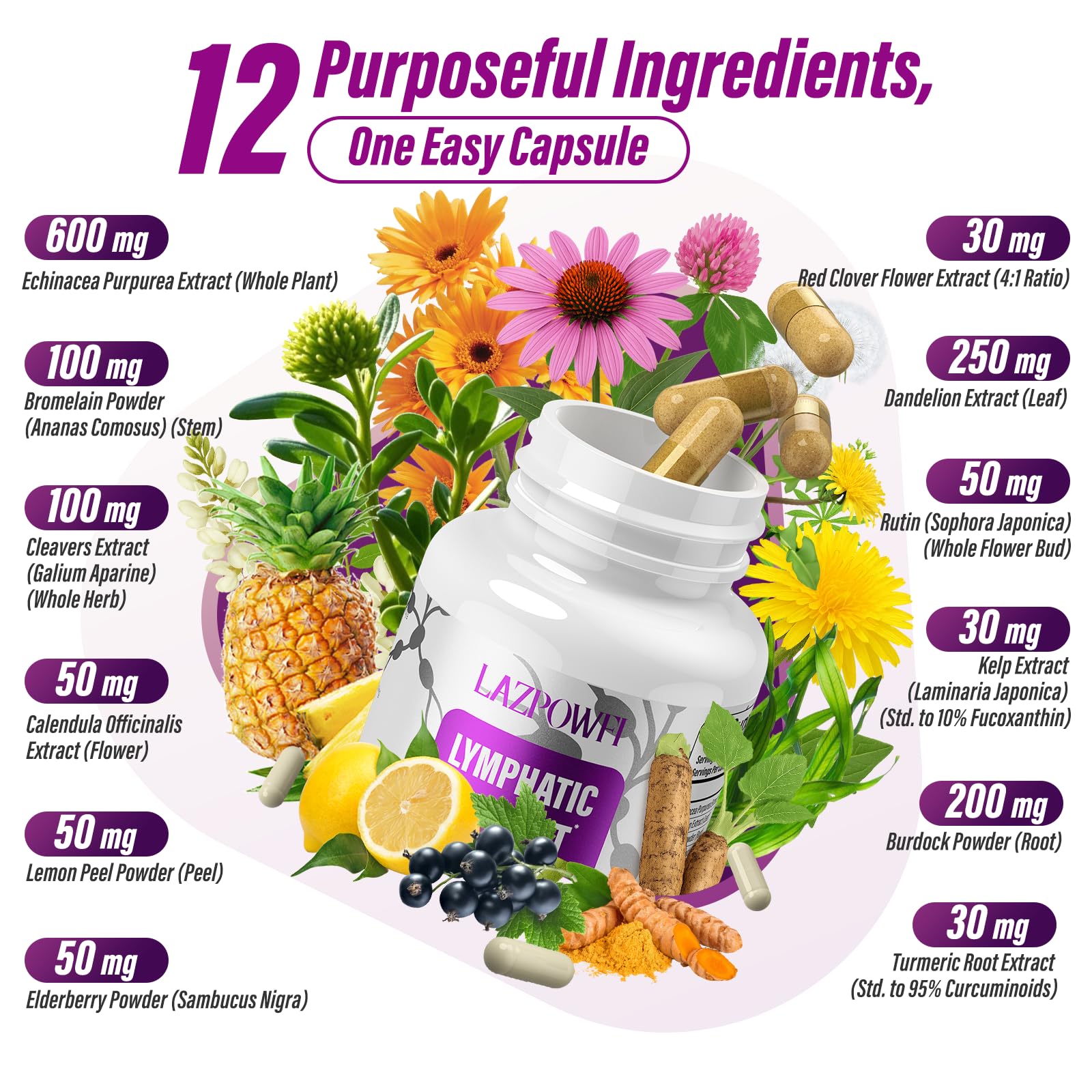 Lazpowfi capsules closeup shows vegan, non-GMO capsules for clean daily usage.