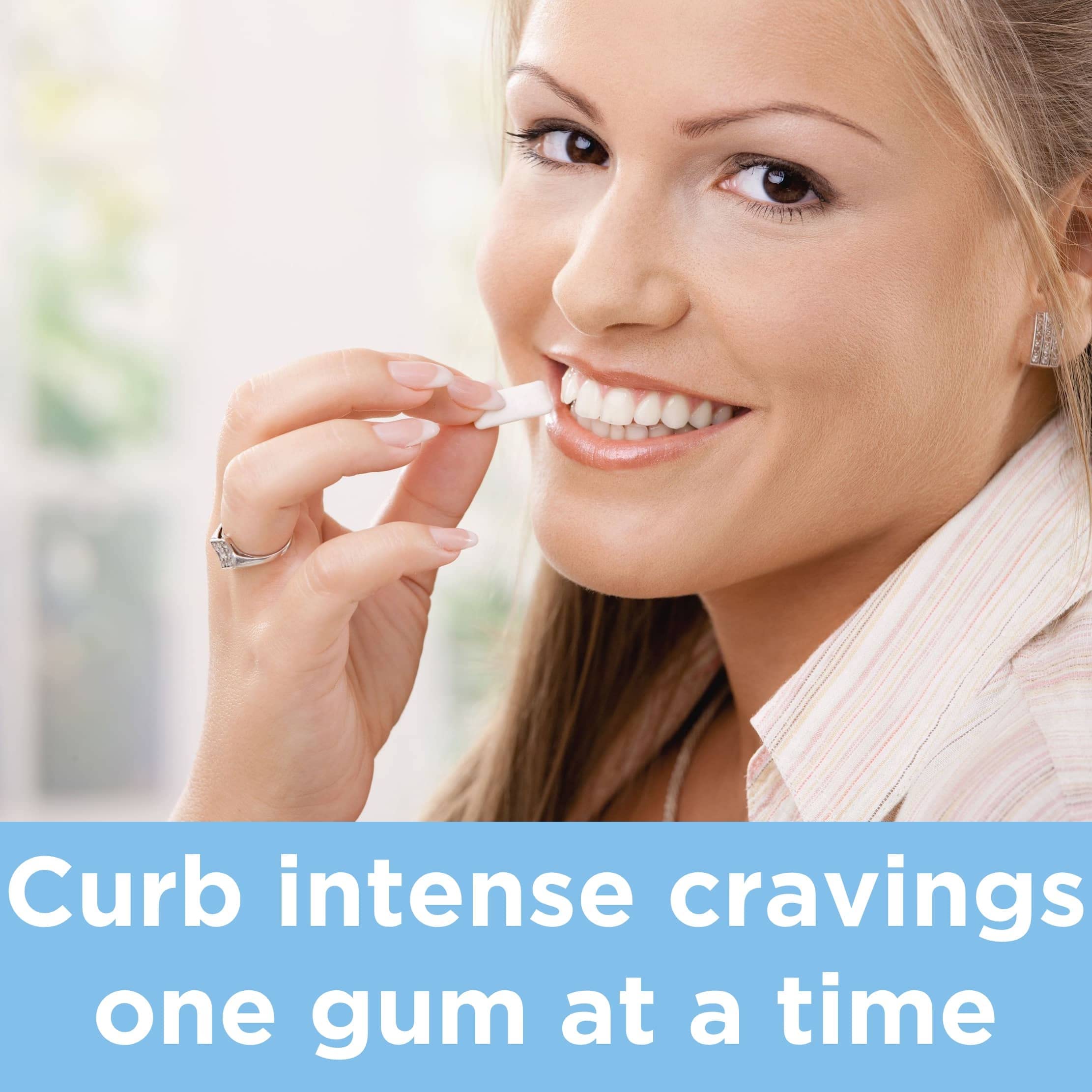 Leader nicotine gum ice mint individual sticks for convenient, sugar-free relief.