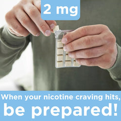 Leader nicotine gum ice mint sugar-free badge signals sugar-conscious choice.