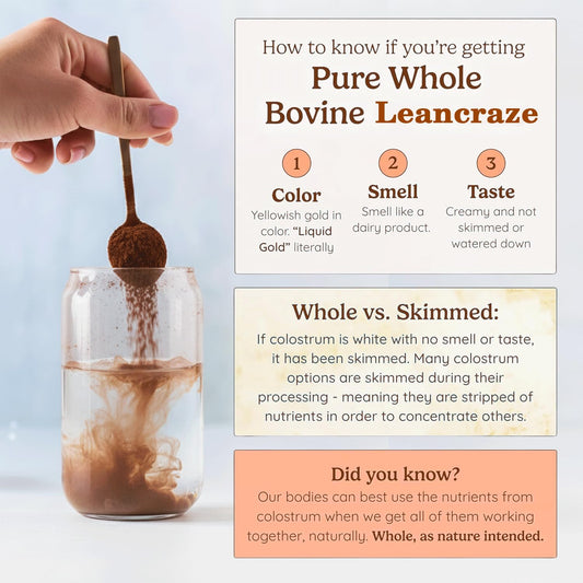 Leancraze Colostrum Powder scoop shows an easy daily dose.