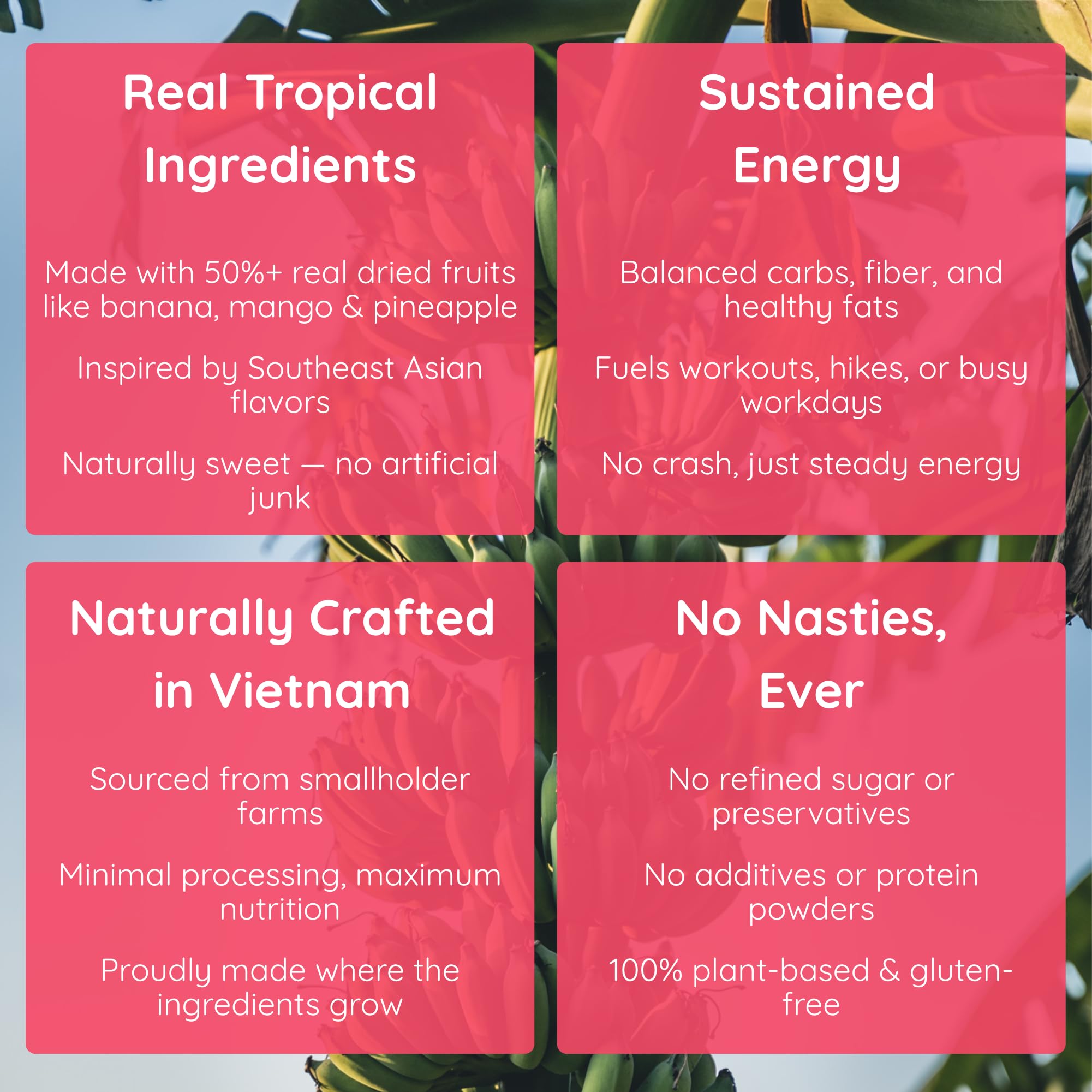 Lecka Energy Bar nutrition label highlighting vegan and gluten-free qualities.