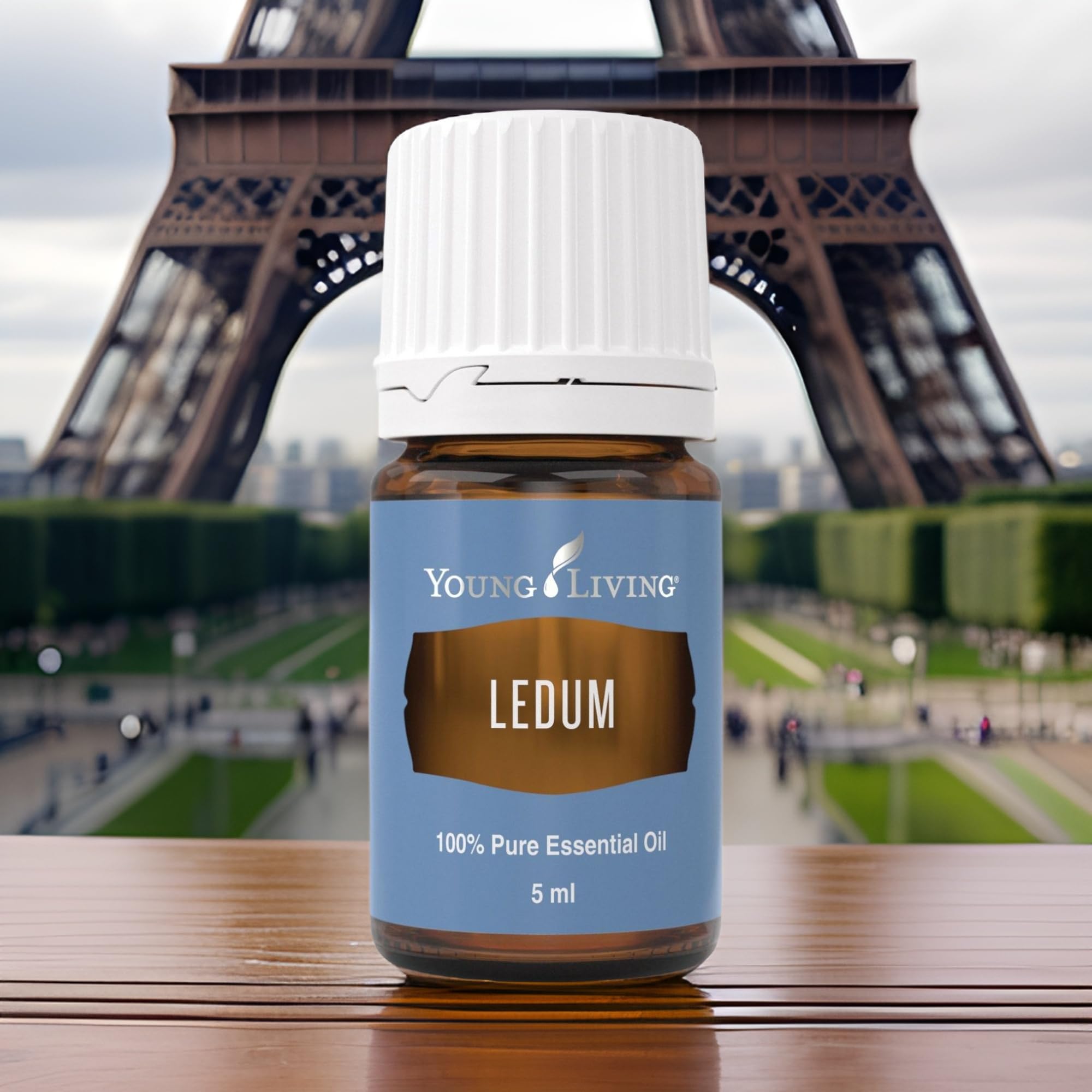 Ledum oil used during meditation setup to enhance focus and atmosphere.