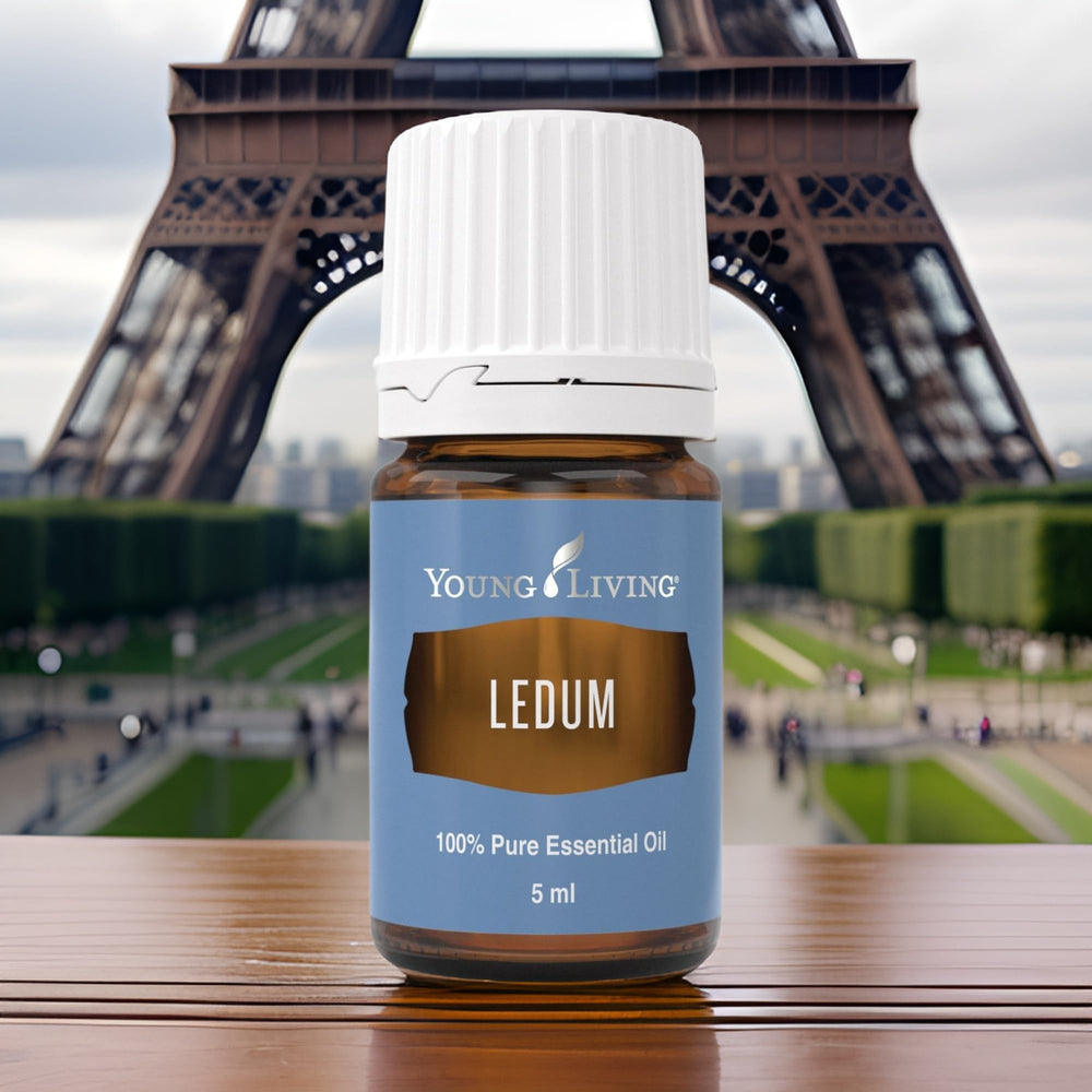Ledum oil used during meditation setup to enhance focus and atmosphere.