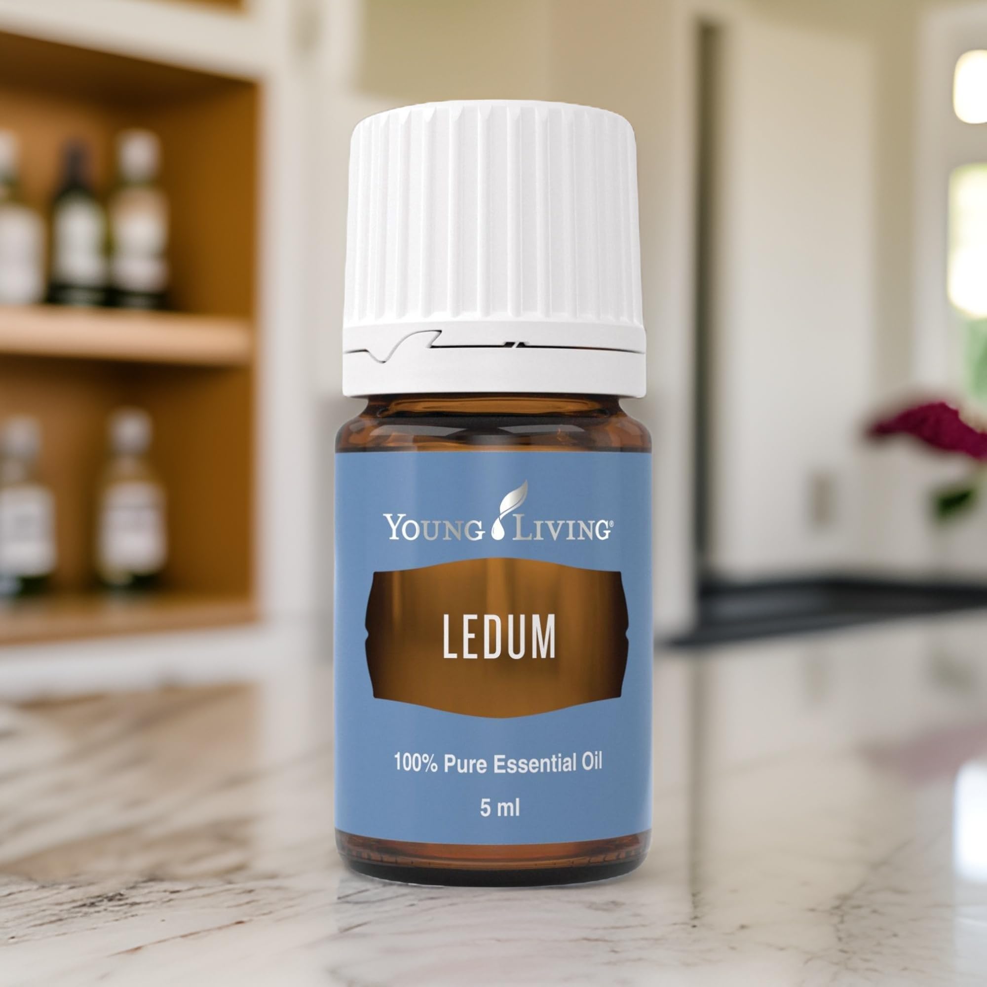 Massage use with Ledum oil to elevate relaxing spa-like experience.