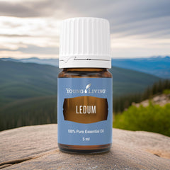 Ledum oil in yoga or prayer space for a harmonizing ambience.