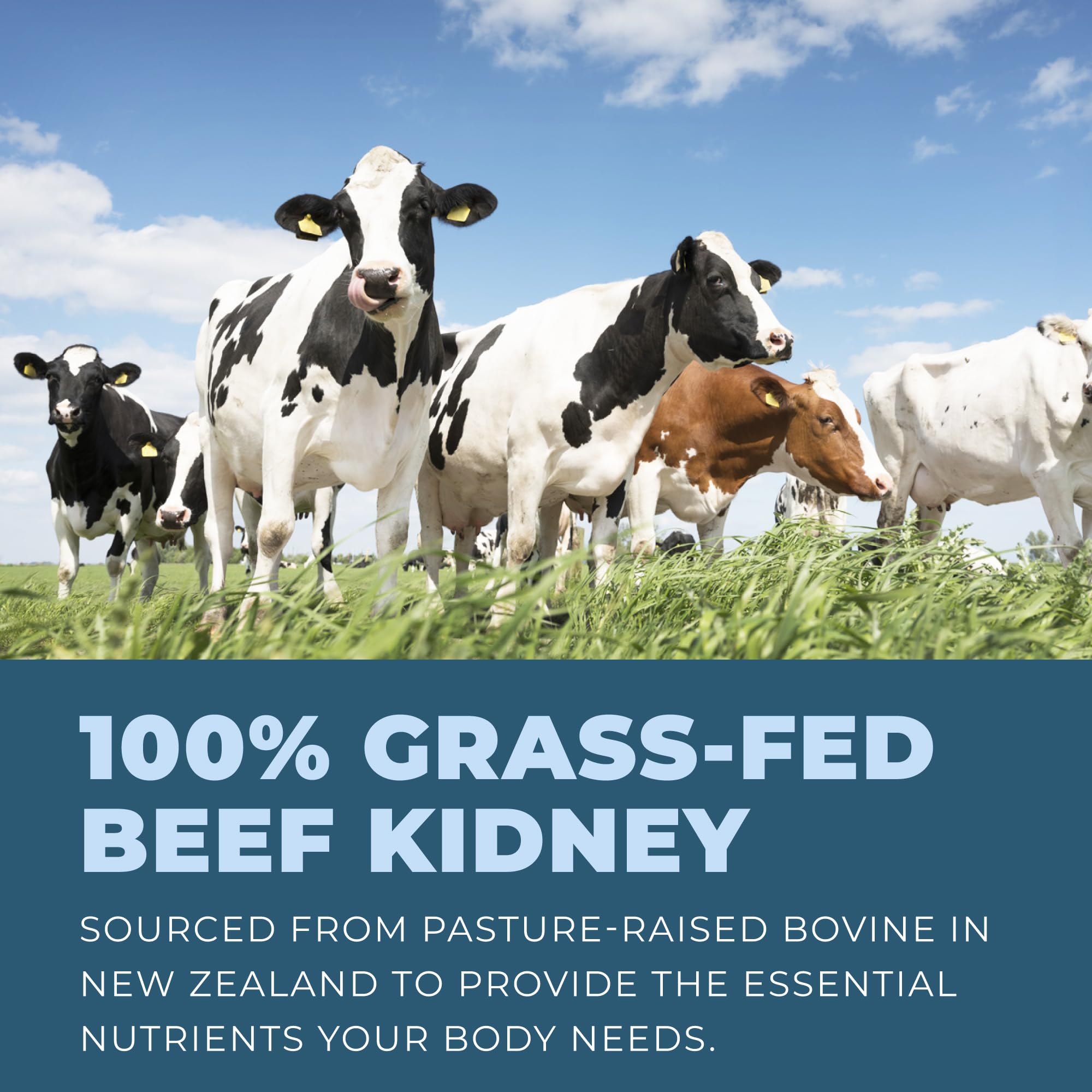 Left Coast Performance New Zealand origin graphic highlights pasture-raised cattle