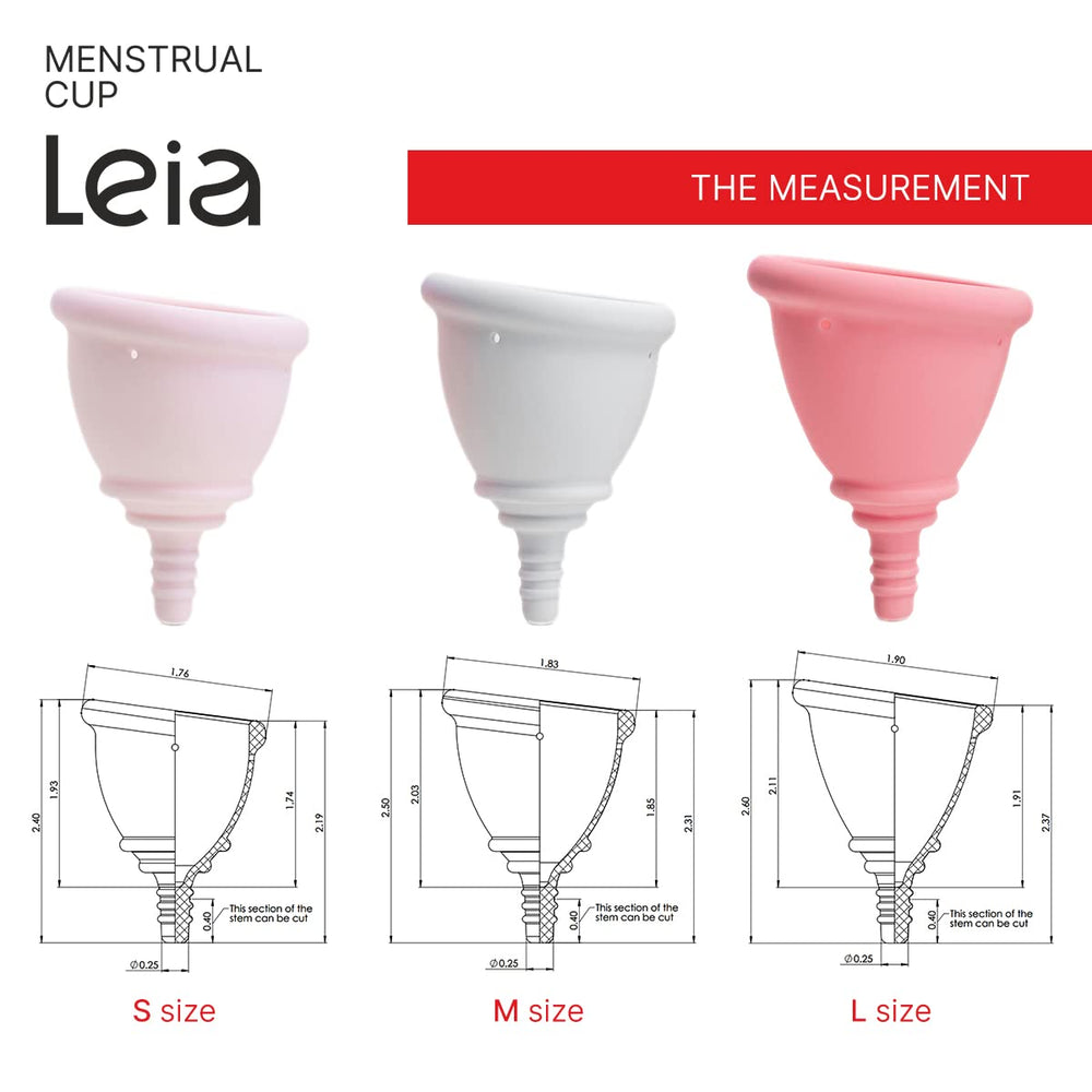 Leia metal carrying case stores safely for travel and school.