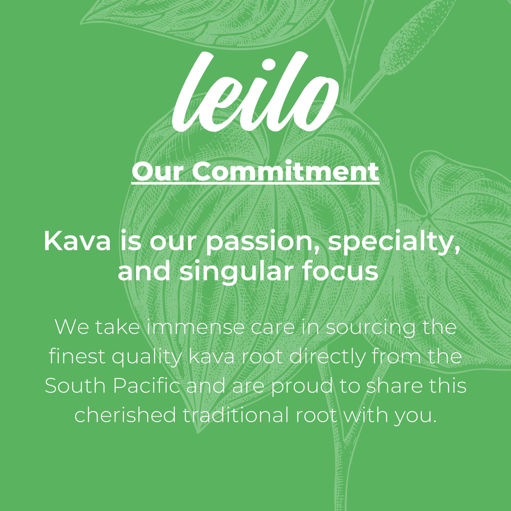 Leilo Kava Mocktail ingredients image, highlights kava roots and flavor balance.