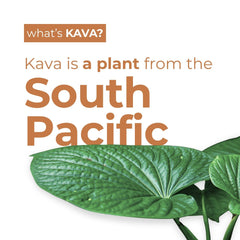 Pour over ice in a glass with lime to enjoy the ginger lime kick of LEILO Kava Moscow Mule