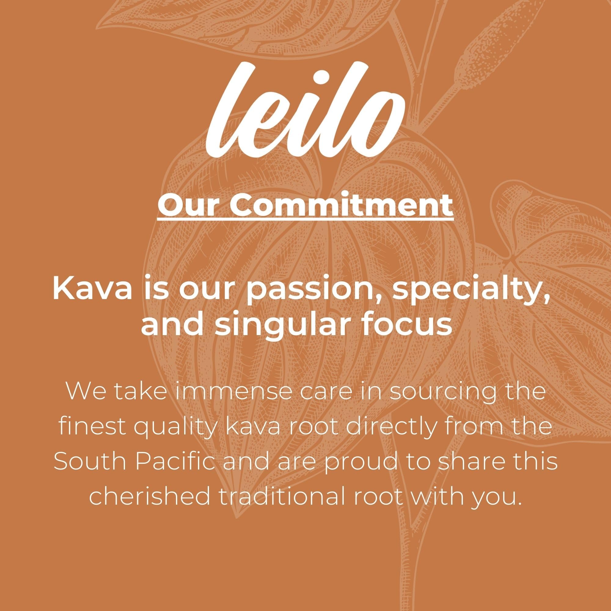 Six pack of LEILO Kava Moscow Mule cans arranged for convenient everyday use