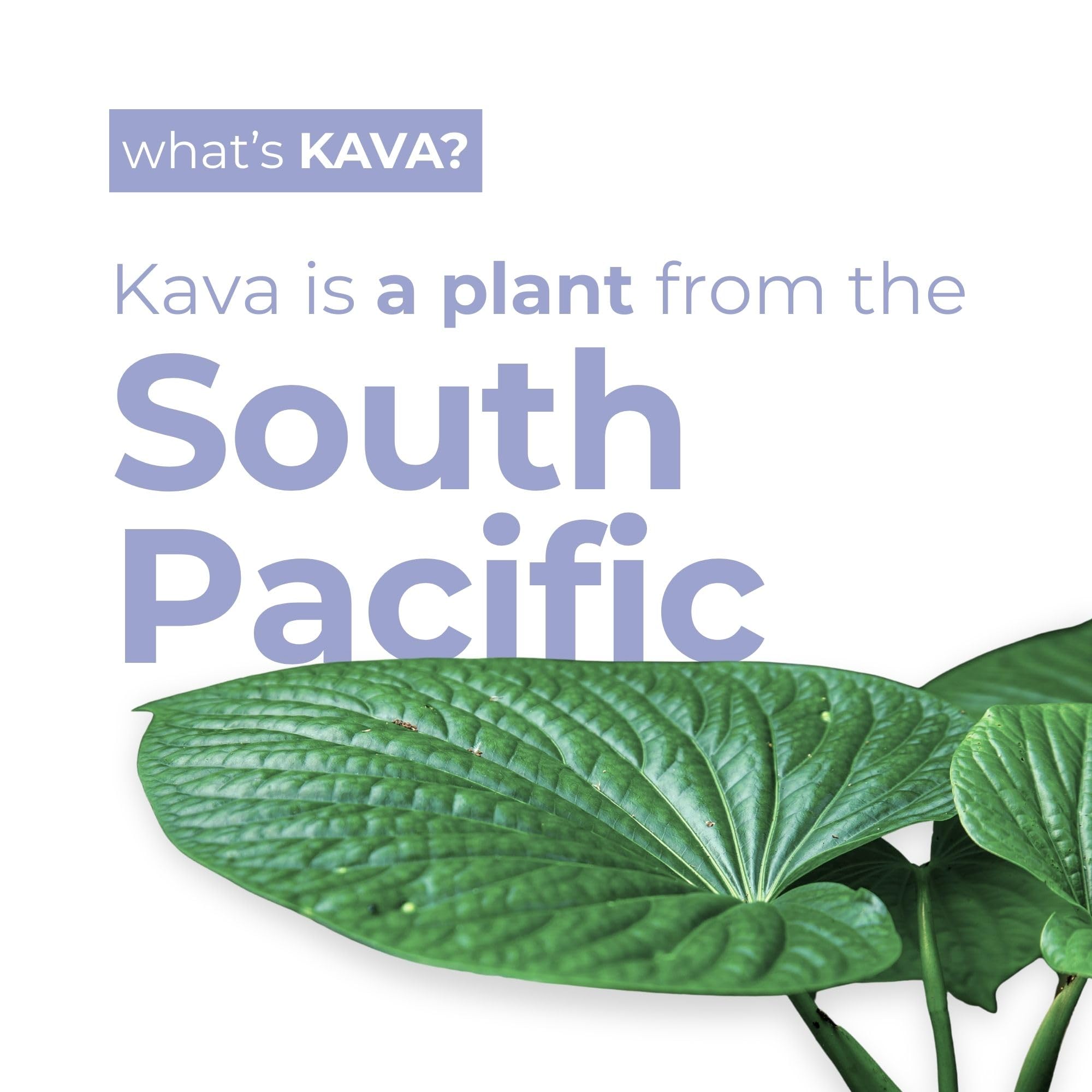 Leilo Kava Sparkling glass serve highlighting blackberry orange taste