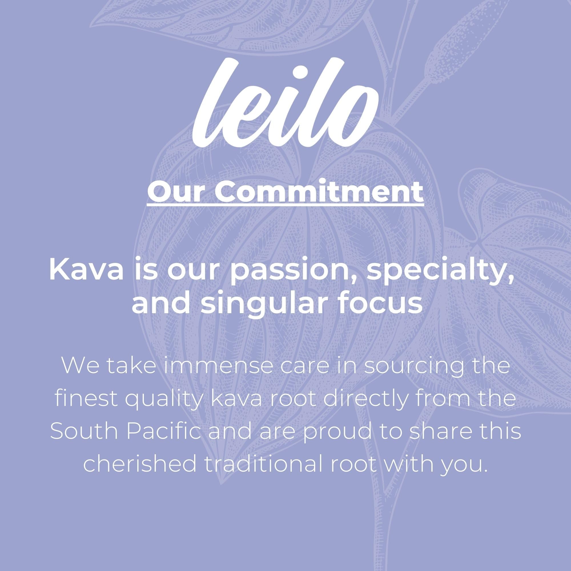 Leilo Kava Sparkling pack of 12 cans for convenient at-home moments