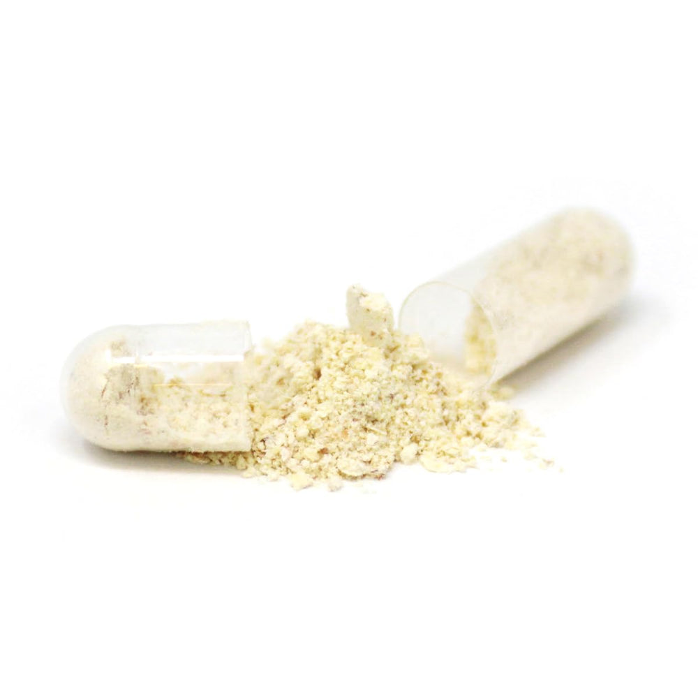 Lekithos organic pullulan capsules inner-shell close-up emphasizes vegan capsules