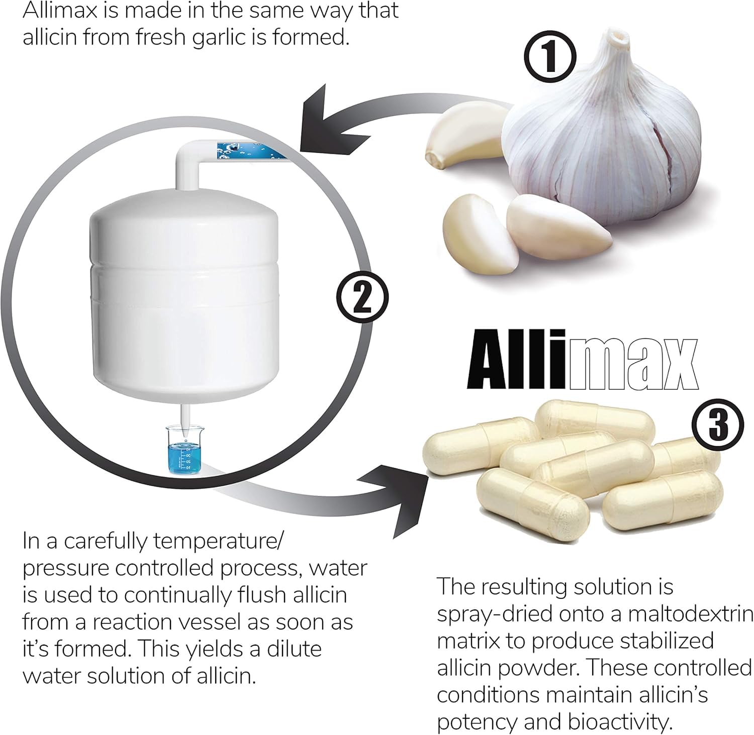 lekullna Allicin Garlic Supplements blister pack illustration highlighting convenient vegan capsules.
