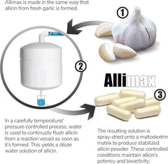lekullna Allicin Garlic Supplements blister pack illustration highlighting convenient vegan capsules.