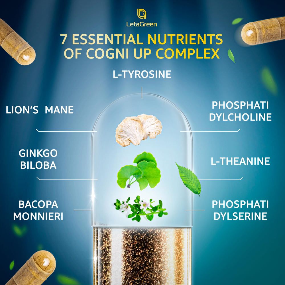 LetaGreen Lions Mane bottle supports focus and calm throughout day