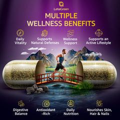 LetaGreen Lions Mane capsules close-up with cognitive-support ingredients