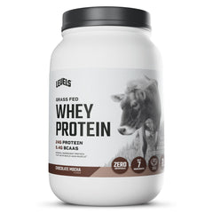 Levels Grass Fed Whey Chocolate Mocha powder for quick protein shakes