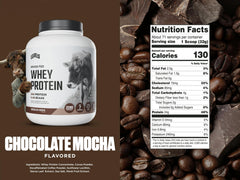 Shake of Levels Chocolate Mocha whey in a shaker