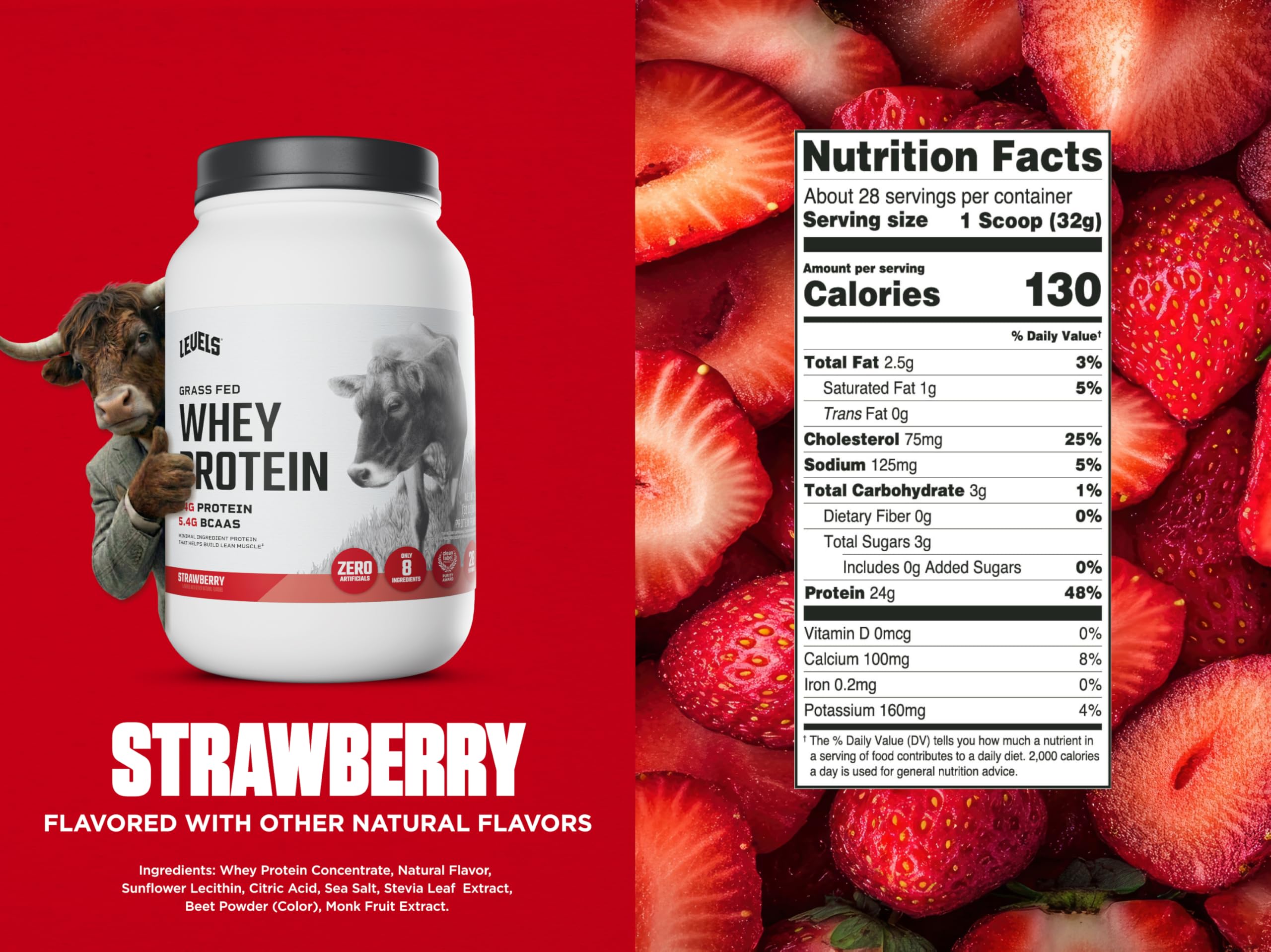 Glass of Levels strawberry shake demonstrates quick protein boost for busy mornings