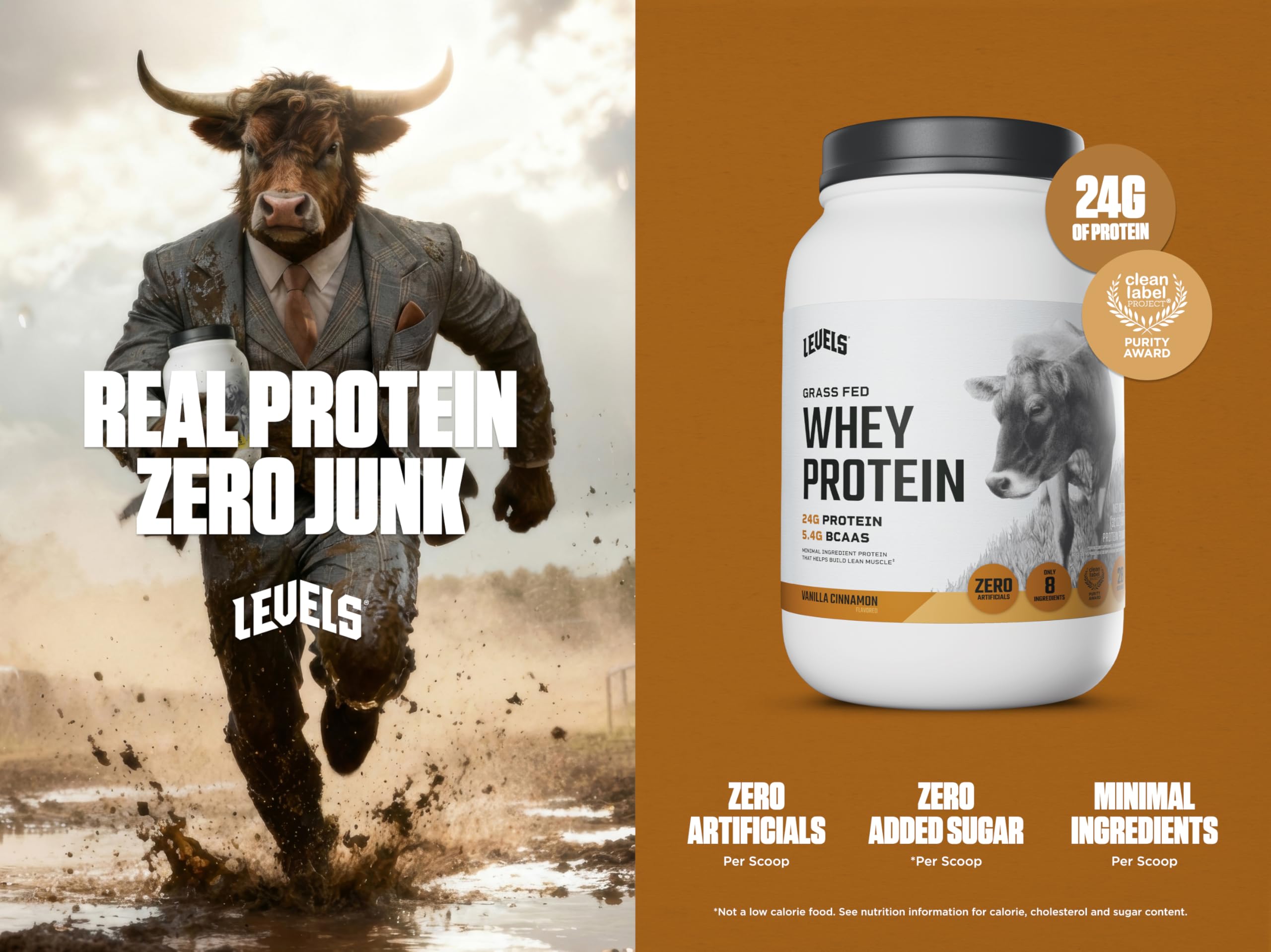 Levels Grass-Fed Whey Vanilla Cinnamon pour reveals a smooth shake.